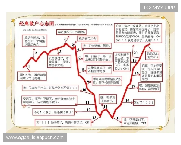 dg视讯长期盈利策略详解助你实现稳定收益的实用方法