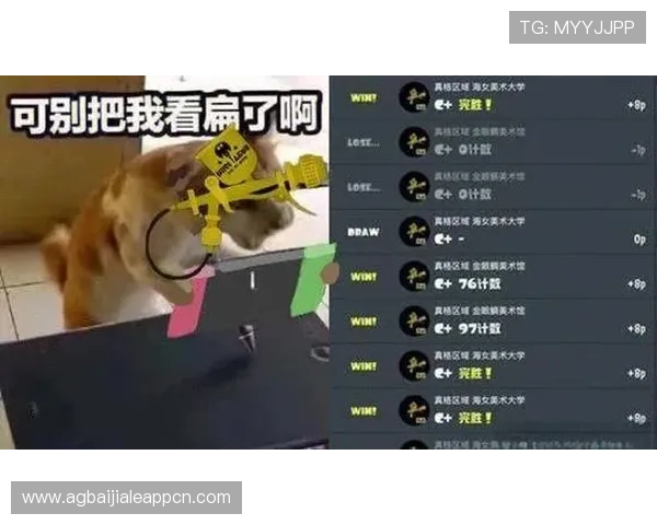 掌握视讯龙虎的投注技巧让你在激烈对战中轻松获胜 掌握视讯龙虎的投注技巧让你在激烈对战中轻松获胜